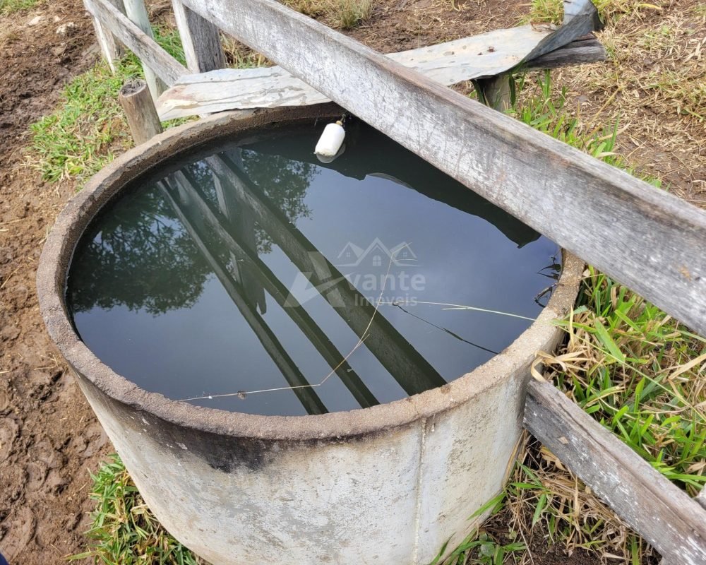 Avante Imóveis ajudando você a realizar seu sonho