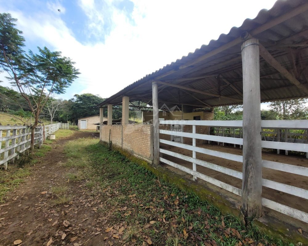 Avante Imóveis ajudando você a realizar seu sonho