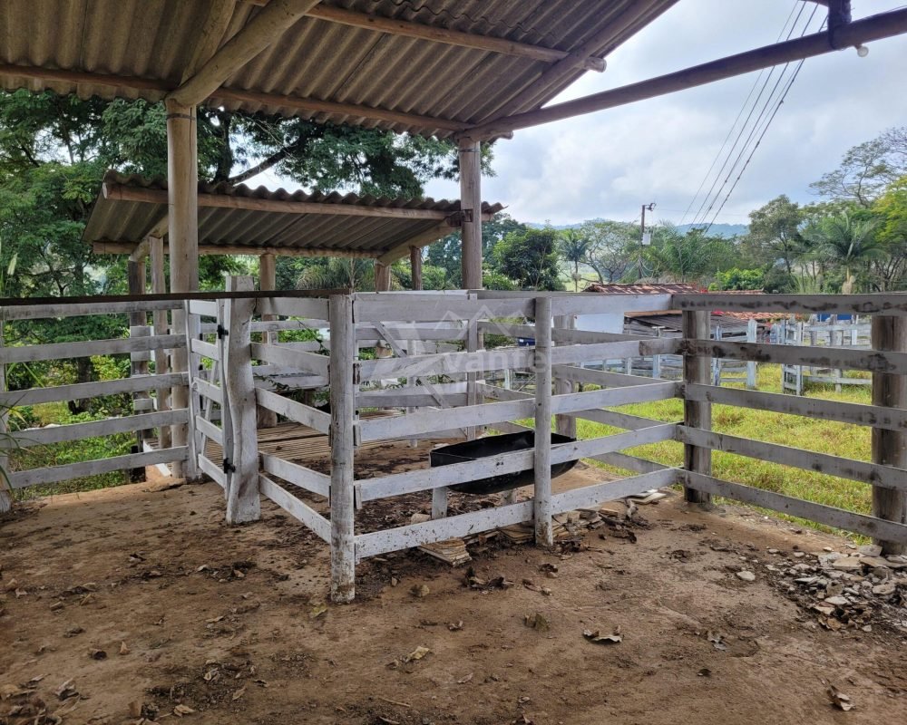 Avante Imóveis ajudando você a realizar seu sonho