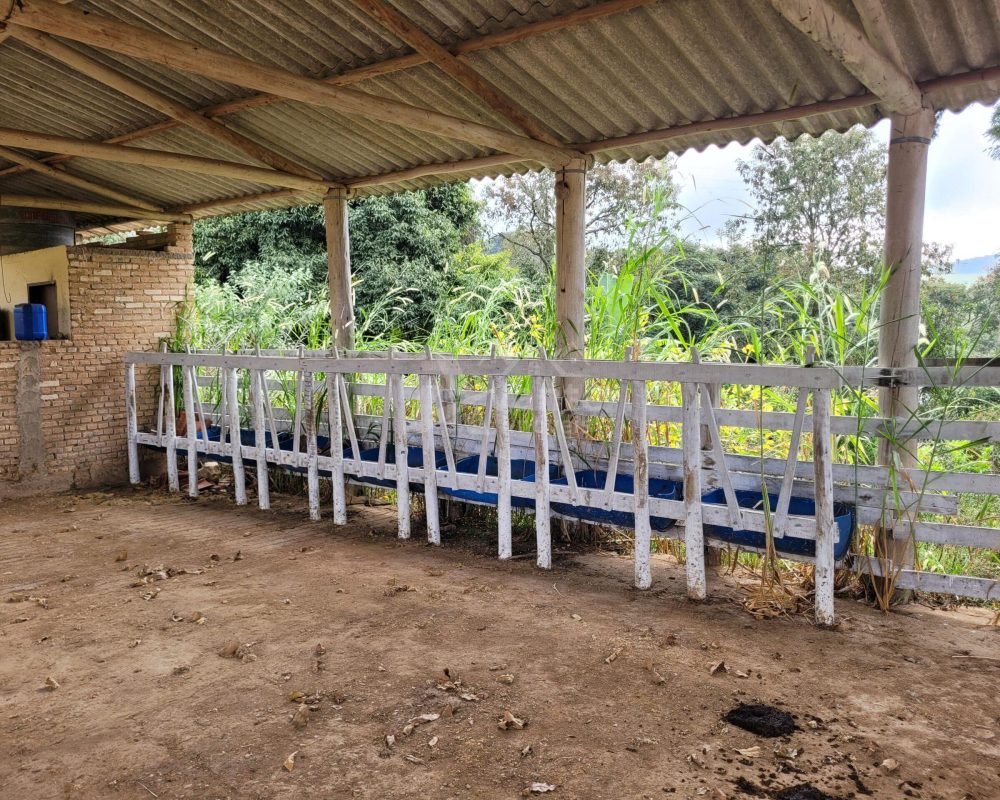 Avante Imóveis ajudando você a realizar seu sonho