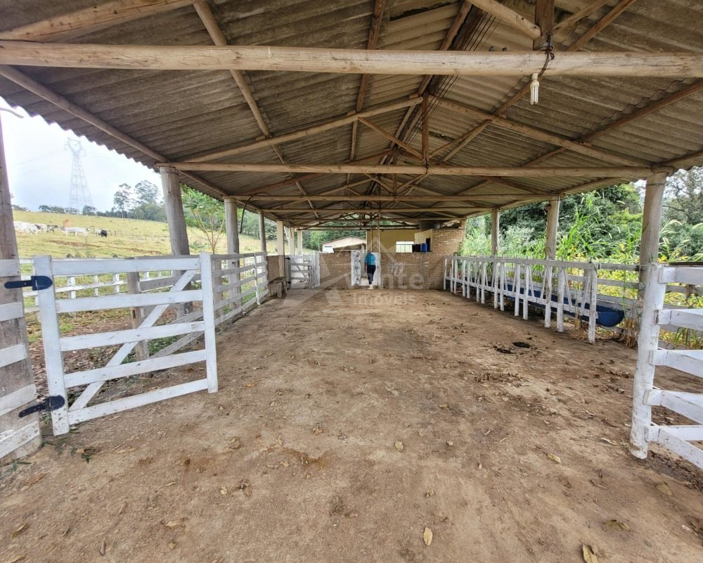 Avante Imóveis ajudando você a realizar seu sonho