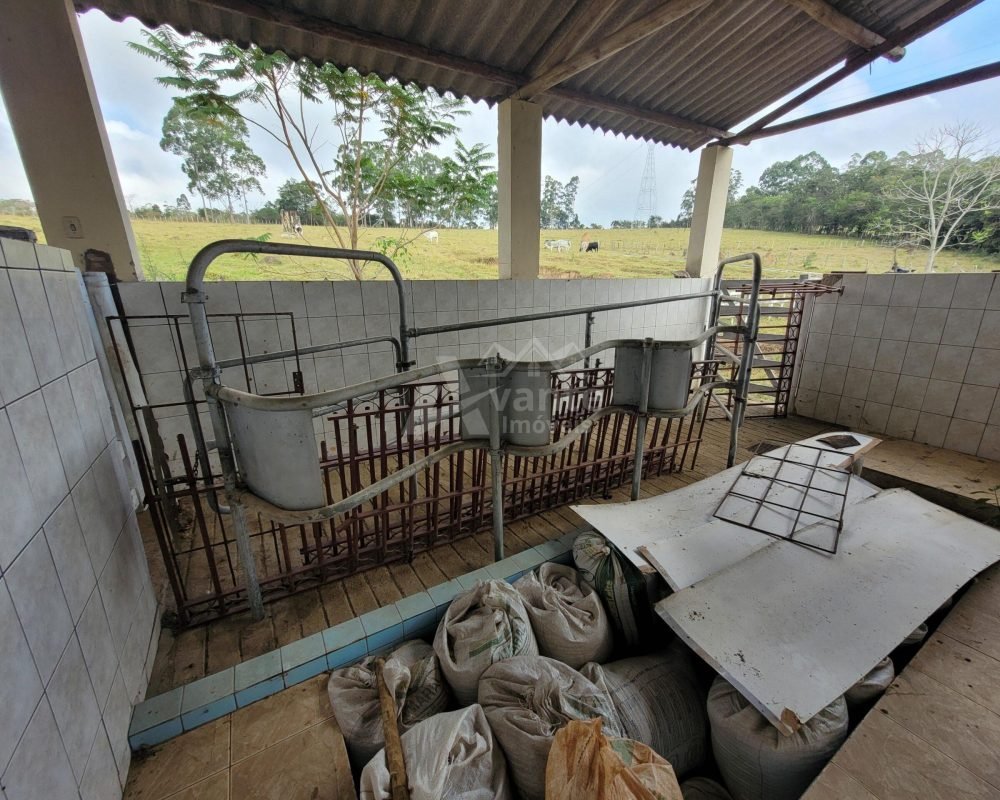 Avante Imóveis ajudando você a realizar seu sonho