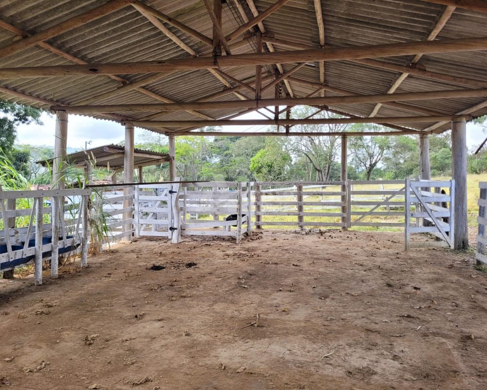 Avante Imóveis ajudando você a realizar seu sonho