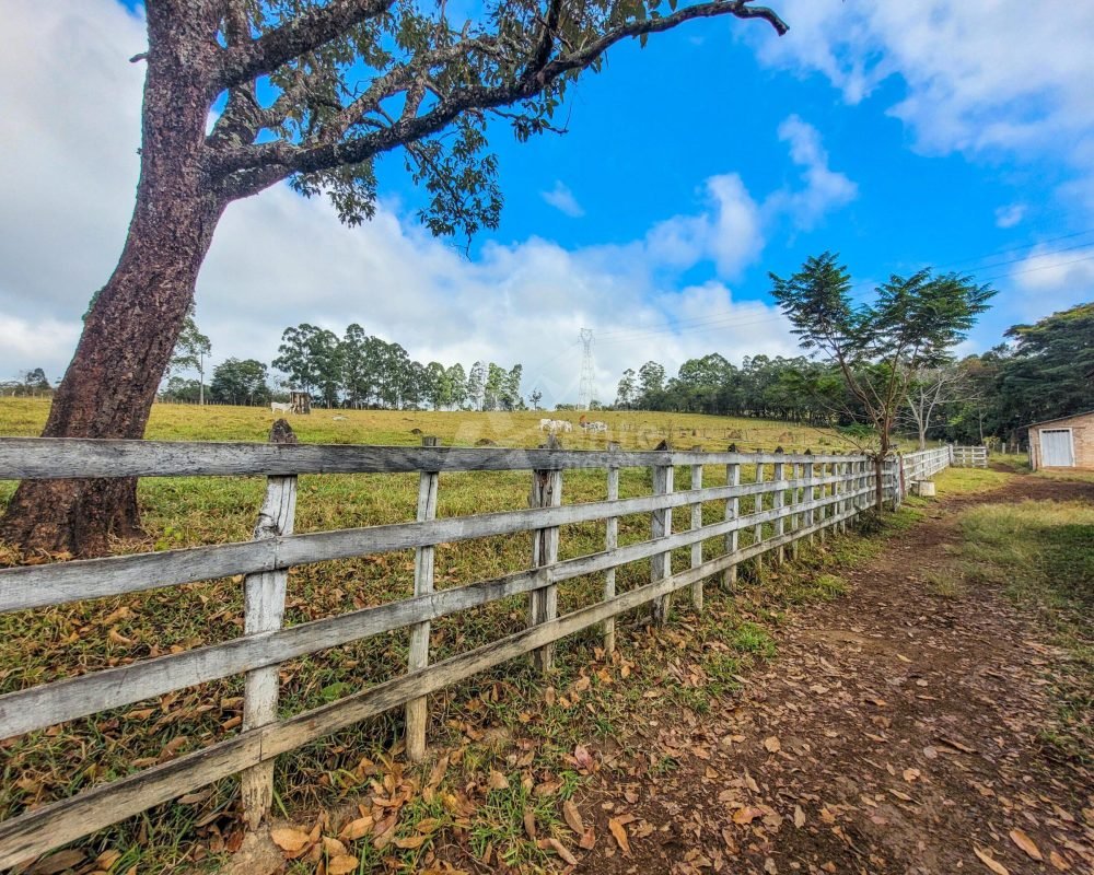 Avante Imóveis ajudando você a realizar seu sonho