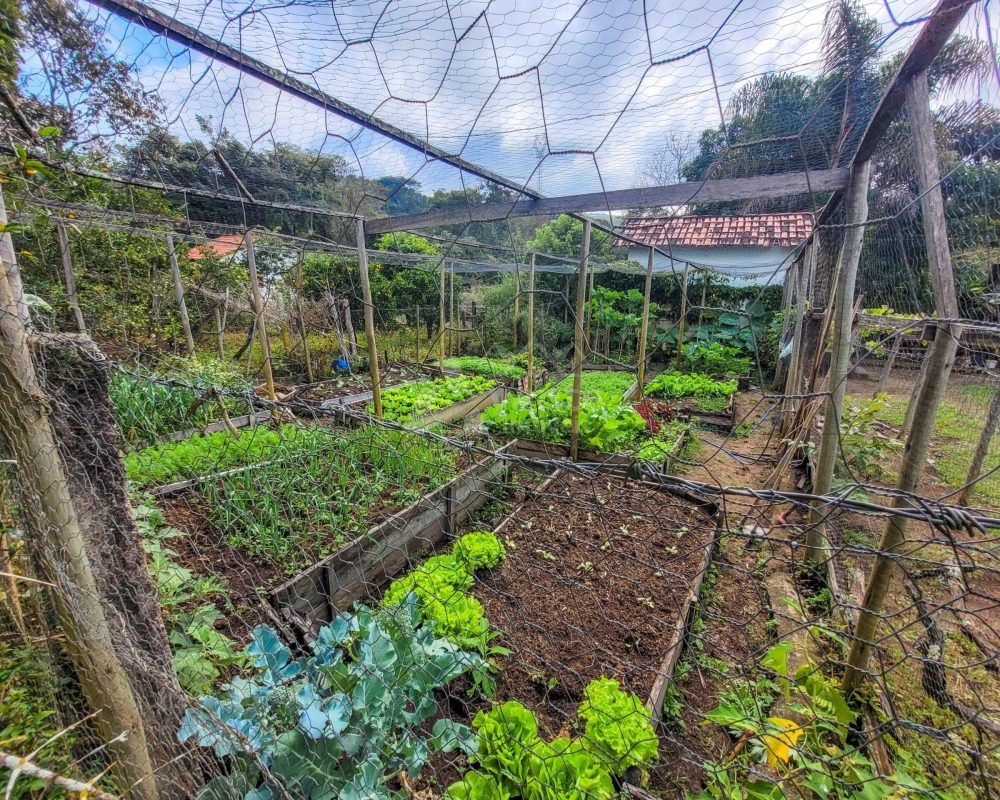 Avante Imóveis ajudando você a realizar seu sonho
