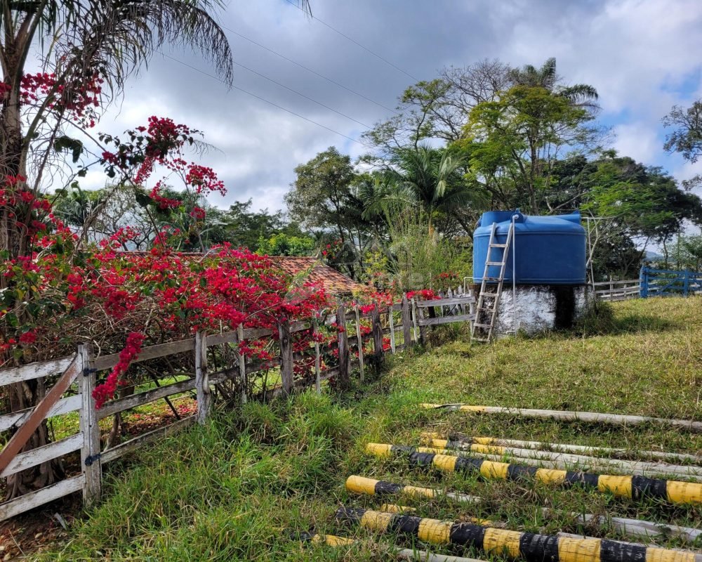Avante Imóveis ajudando você a realizar seu sonho