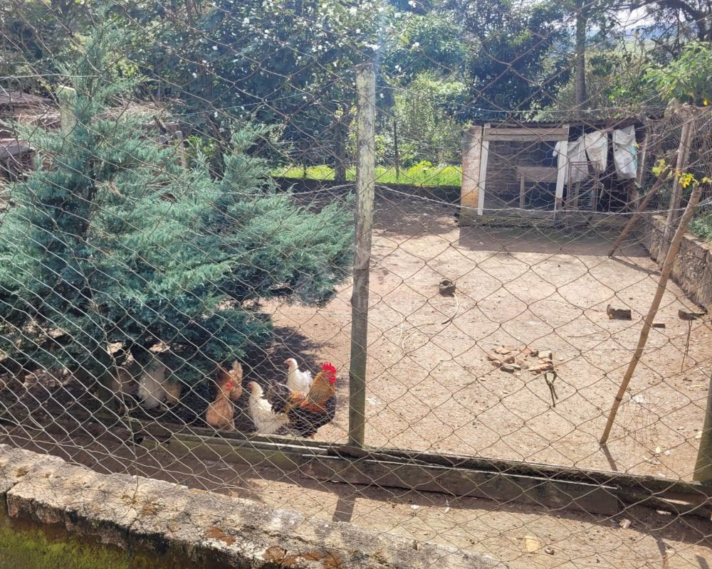 Avante Imóveis ajudando você a realizar seu sonho