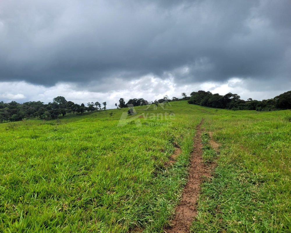 Avante Imóveis ajudando você a realizar seu sonho!