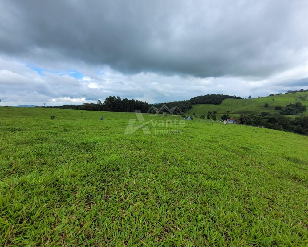 Avante Imóveis ajudando você a realizar seu sonho!