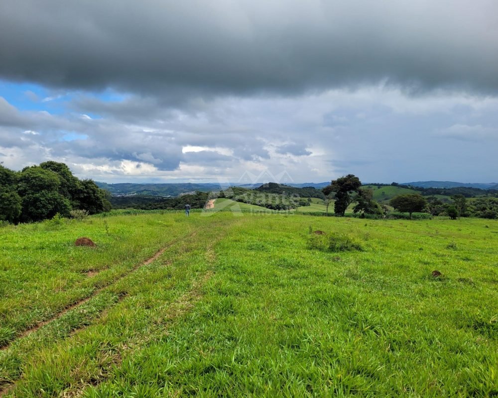 Avante Imóveis ajudando você a realizar seu sonho!