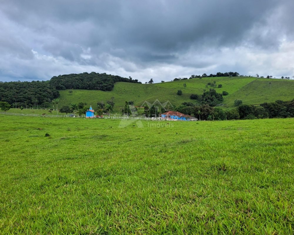 Avante Imóveis ajudando você a realizar seu sonho!