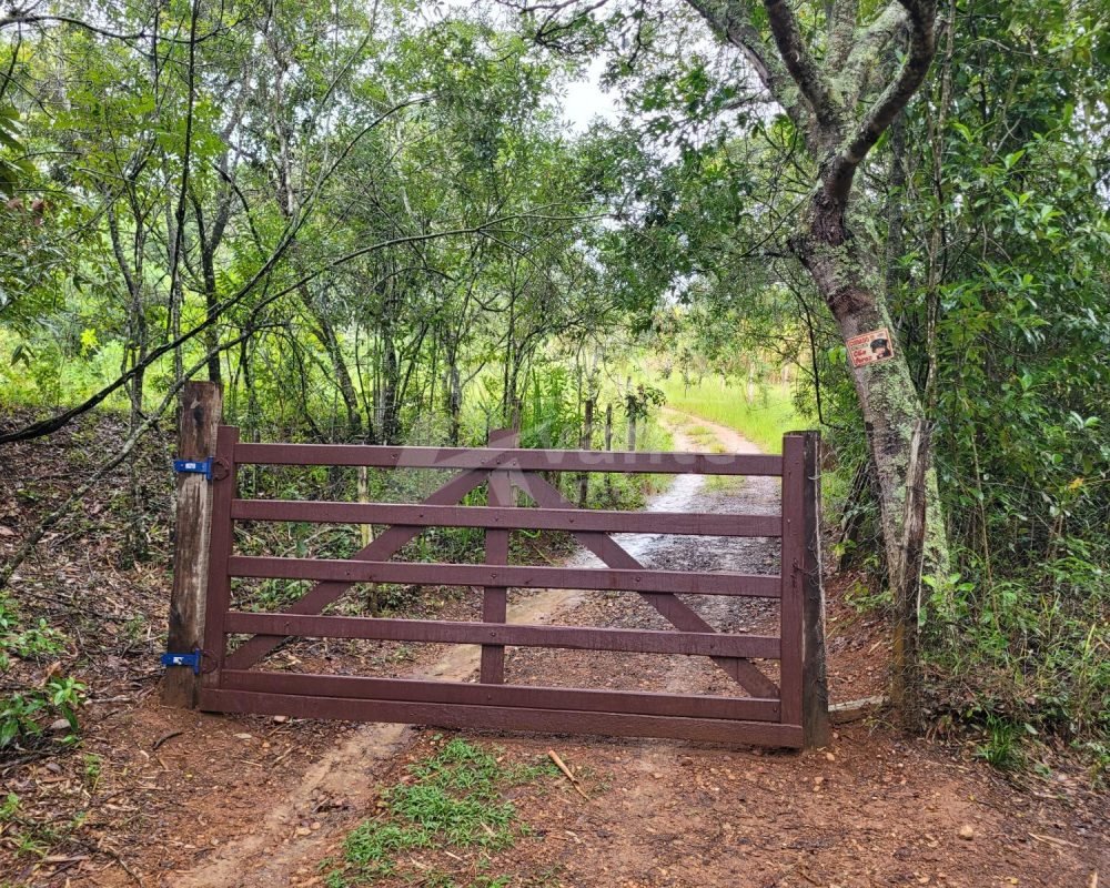 Avante Imóveis ajudando você a realizar seu sonho