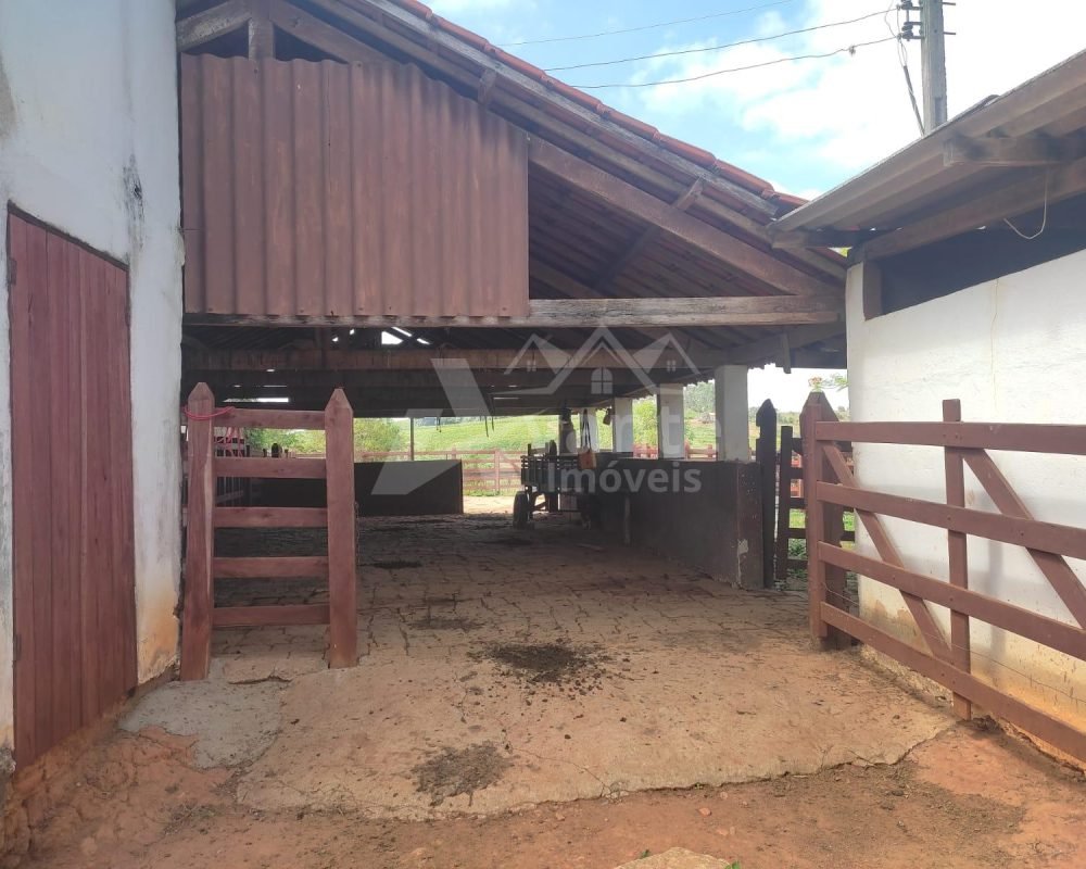 Avante Imóveis ajudando você a realizar seu sonho