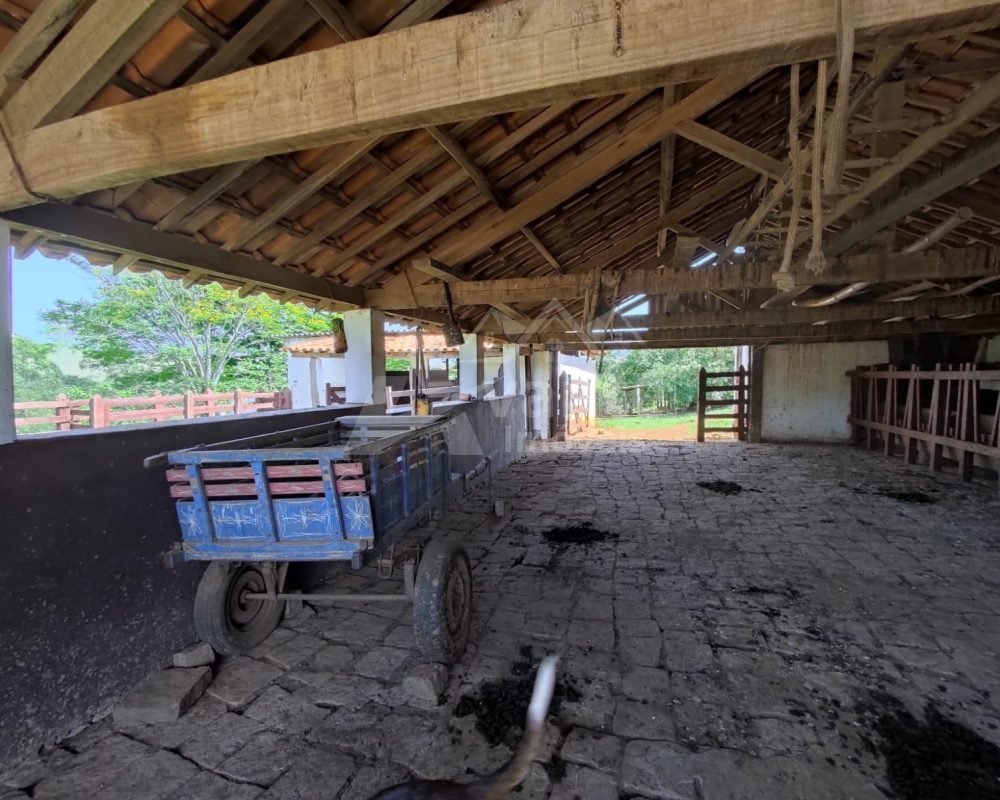 Avante Imóveis ajudando você a realizar seu sonho