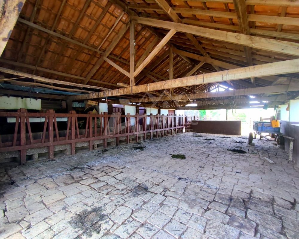 Avante Imóveis ajudando você a realizar seu sonho