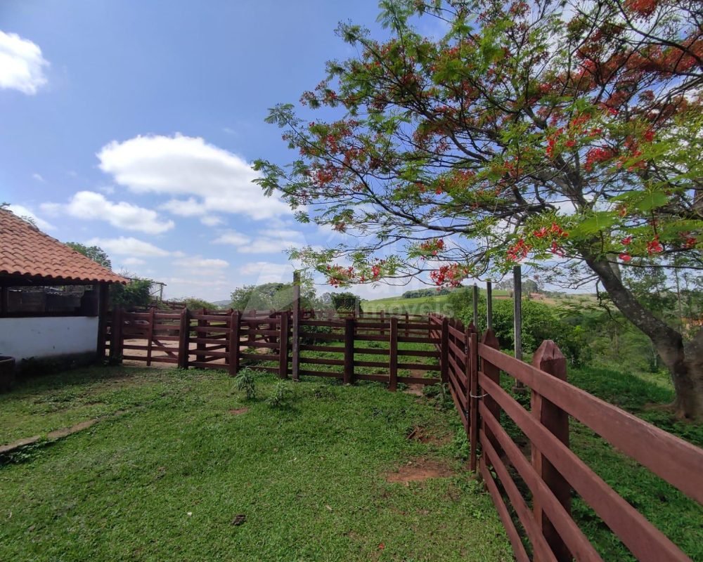 Avante Imóveis ajudando você a realizar seu sonho