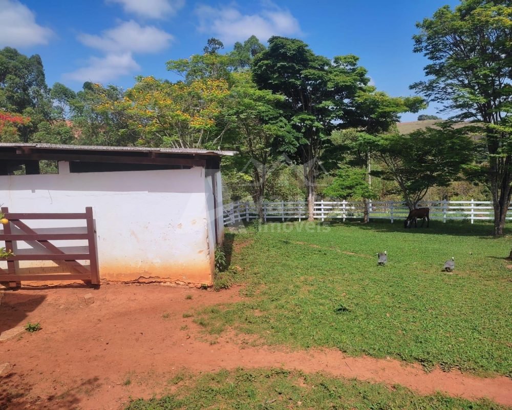 Avante Imóveis ajudando você a realizar seu sonho