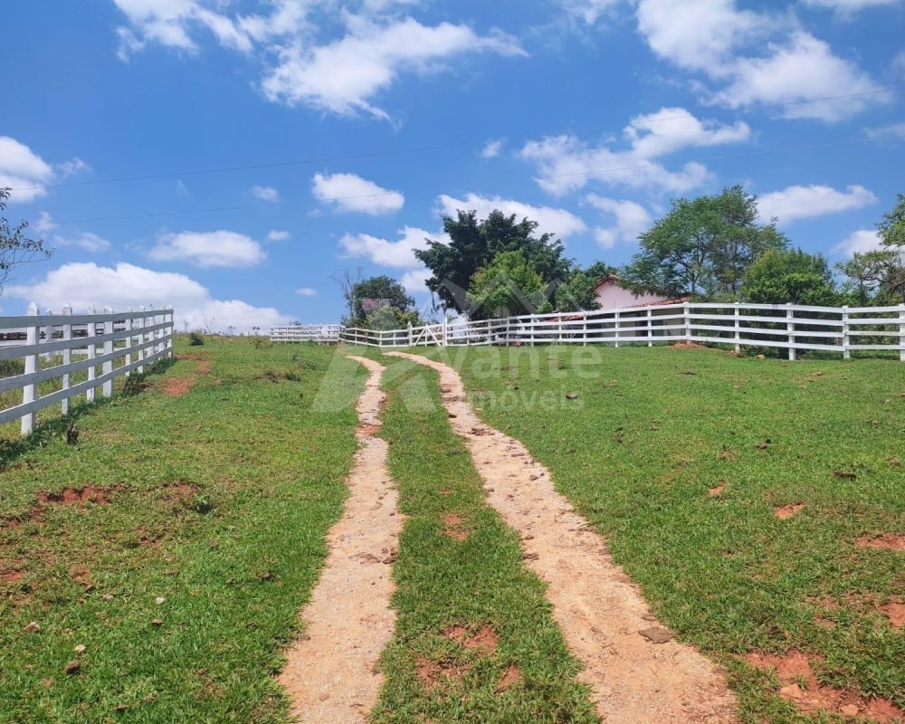 Avante Imóveis ajudando você a realizar seu sonho