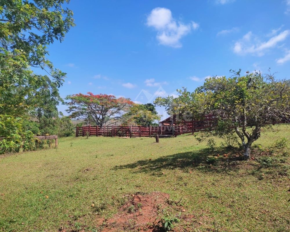 Avante Imóveis ajudando você a realizar seu sonho