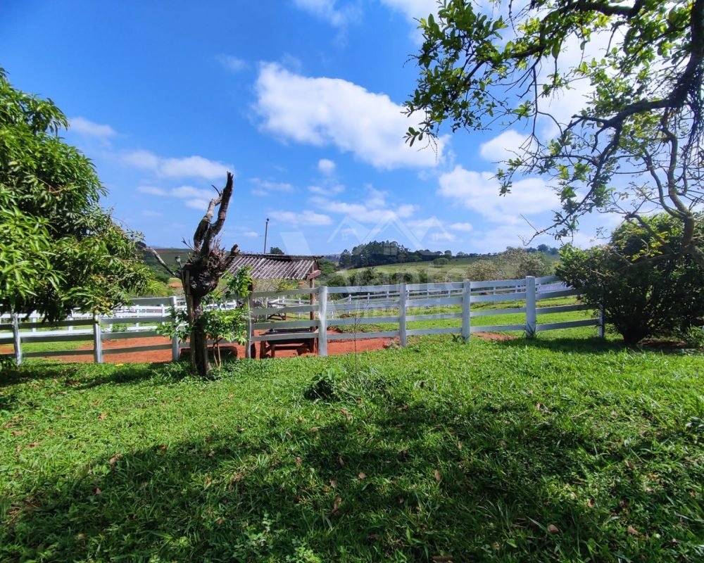 Avante Imóveis ajudando você a realizar seu sonho