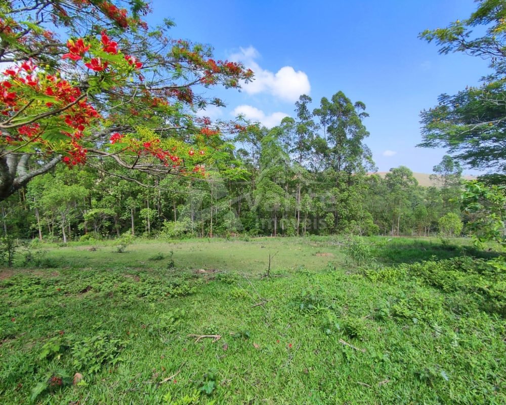 Avante Imóveis ajudando você a realizar seu sonho