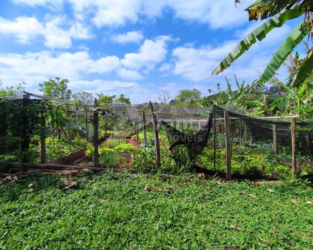 Avante Imóveis ajudando você a realizar seu sonho