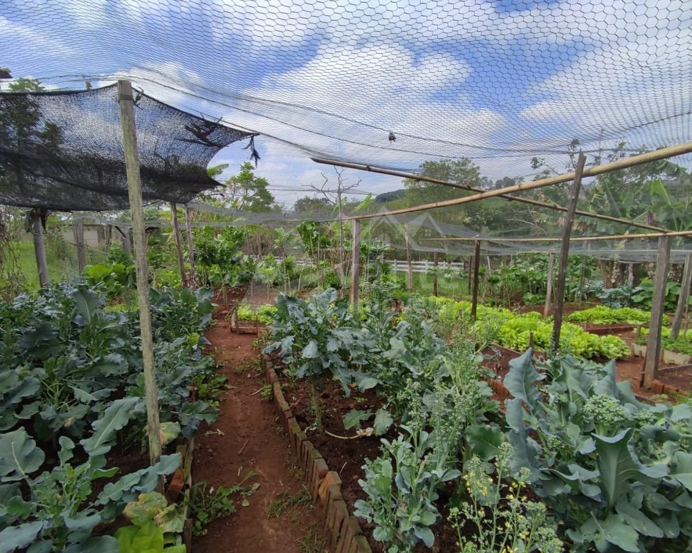 Avante Imóveis ajudando você a realizar seu sonho