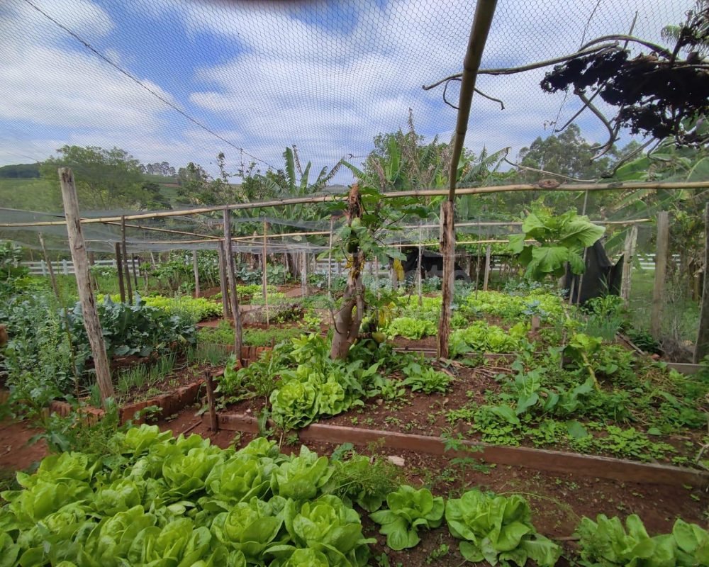 Avante Imóveis ajudando você a realizar seu sonho