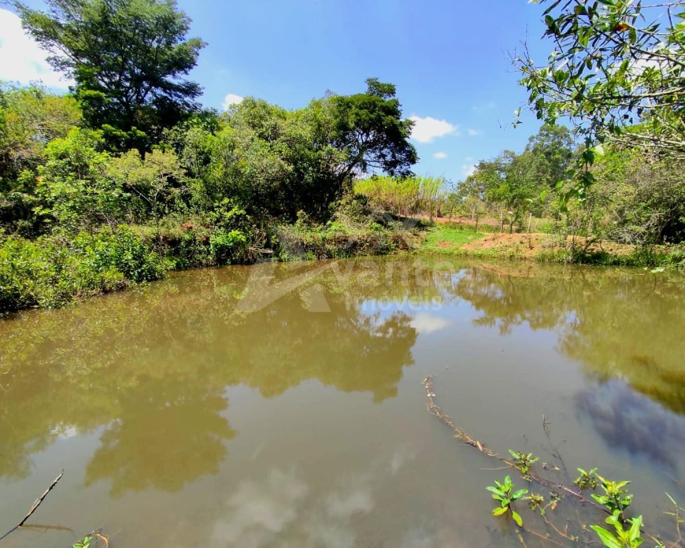 Avante Imóveis ajudando você a realizar seu sonho