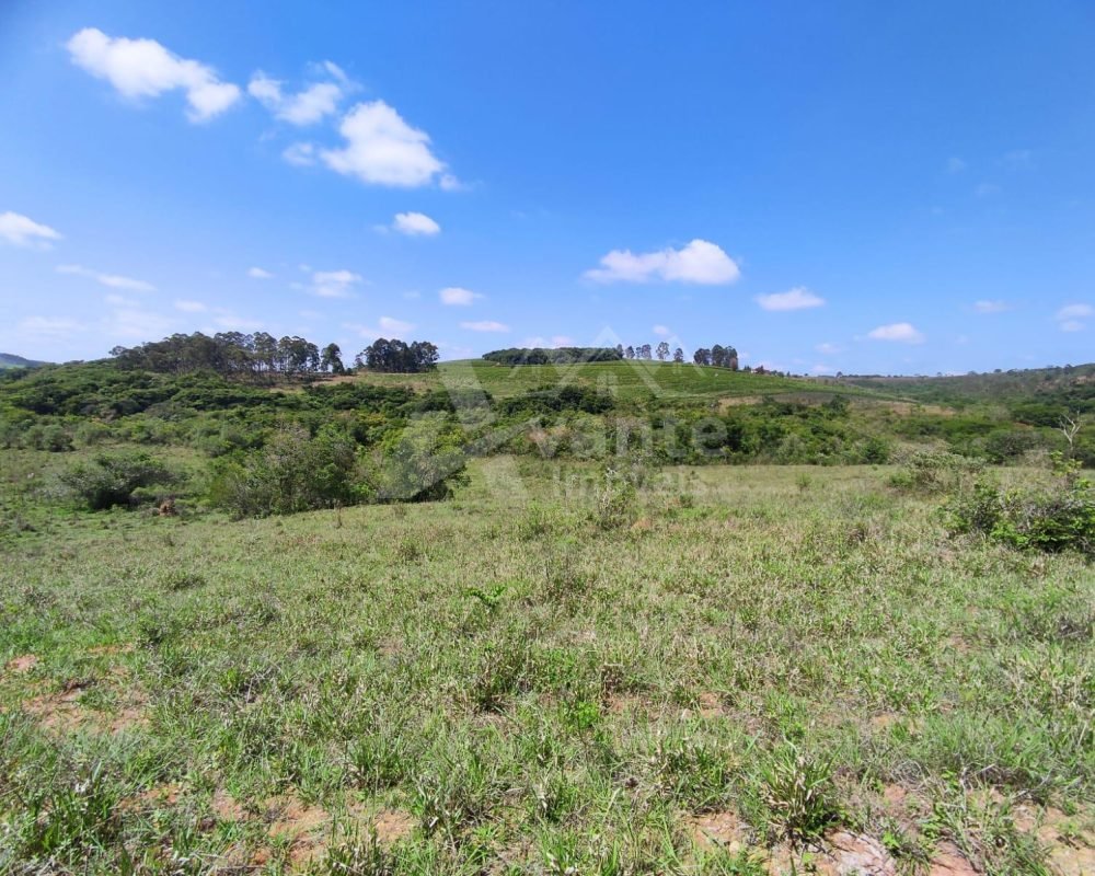 Avante Imóveis ajudando você a realizar seu sonho