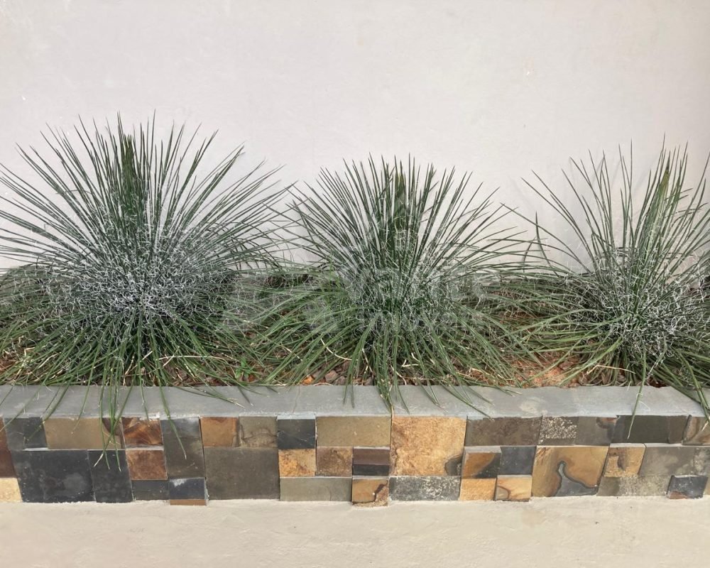 Você tem um sonho e nós temos a chave!