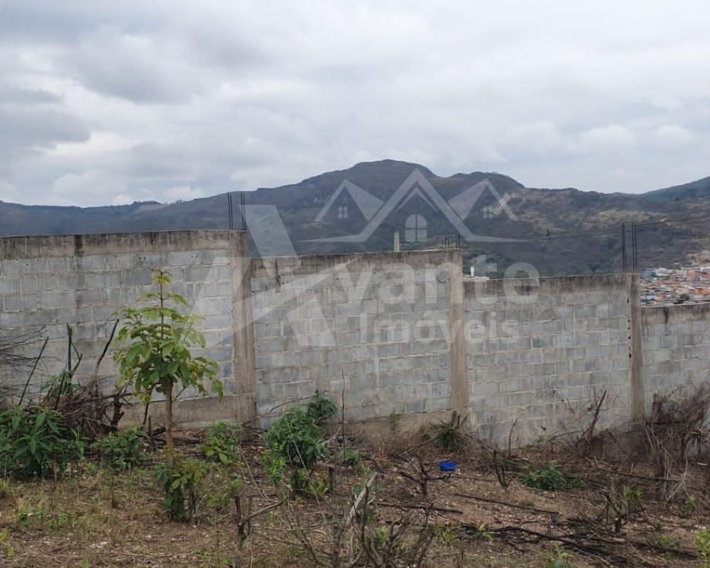 Avante Imóveis ajudando você a realizar seu sonho