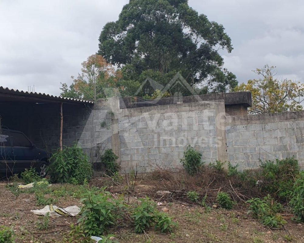 Avante Imóveis ajudando você a realizar seu sonho