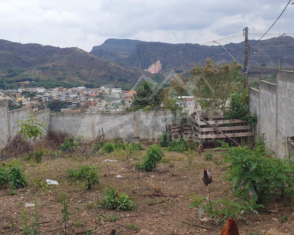 Avante Imóveis ajudando você a realizar seu sonho