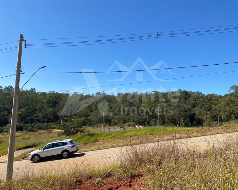 Avante Imóveis ajudando você a realizar seu sonho