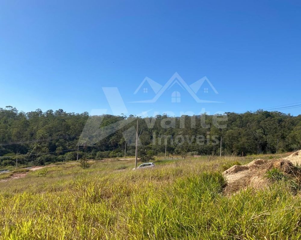 Avante Imóveis ajudando você a realizar seu sonho