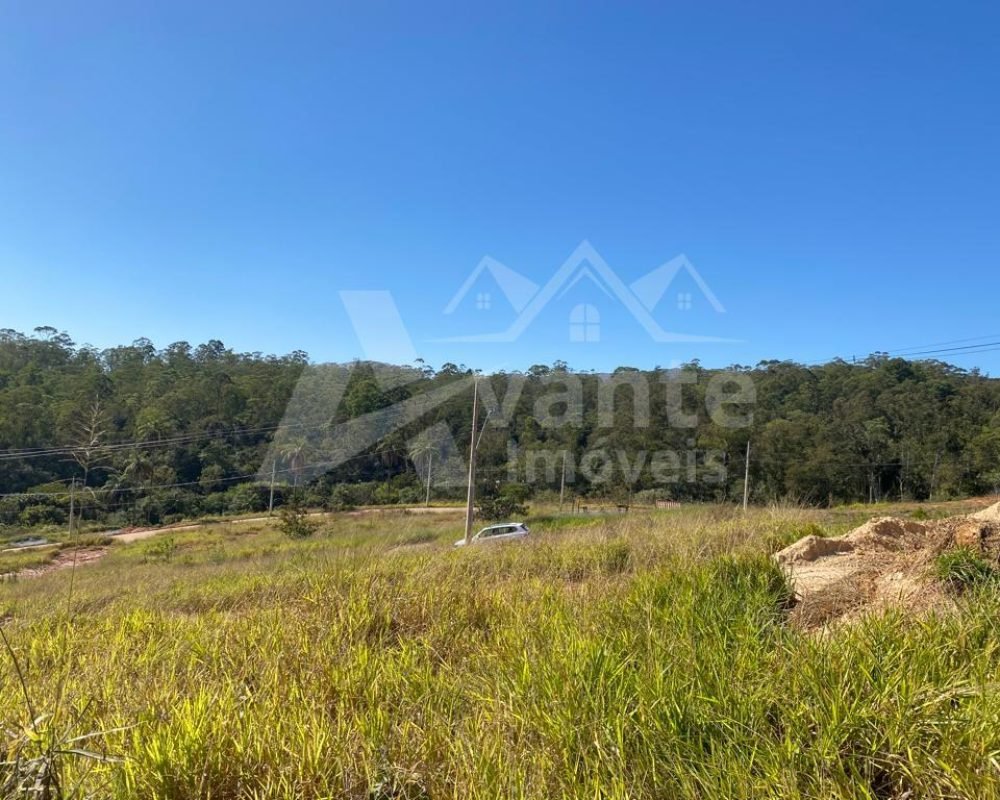 Avante Imóveis ajudando você a realizar seu sonho