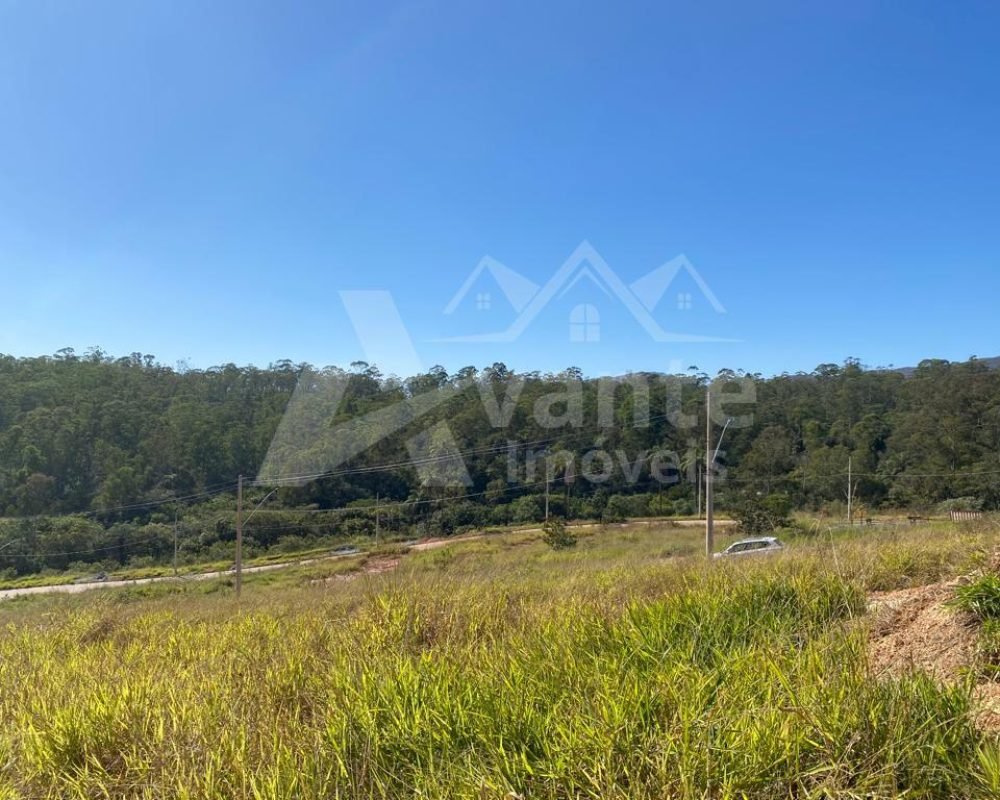 Avante Imóveis ajudando você a realizar seu sonho