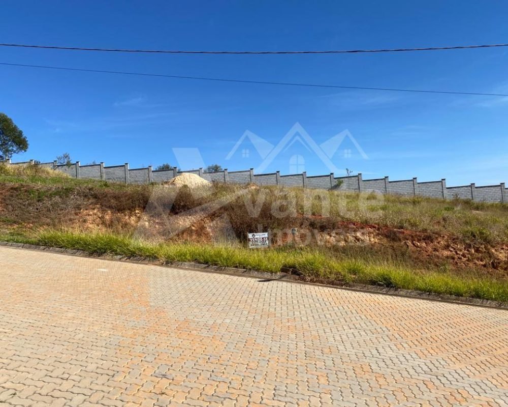 Avante Imóveis ajudando você a realizar seu sonho