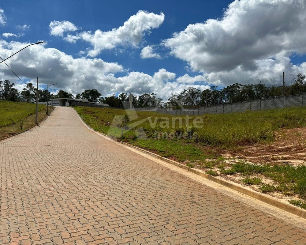 Avante Imóveis ajudando você a realizar seu sonho