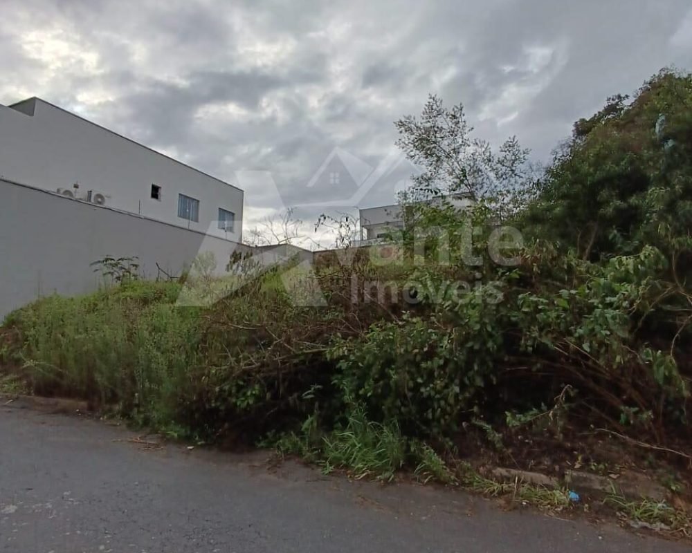 Avante Imóveis ajudando você a realizar seu sonho