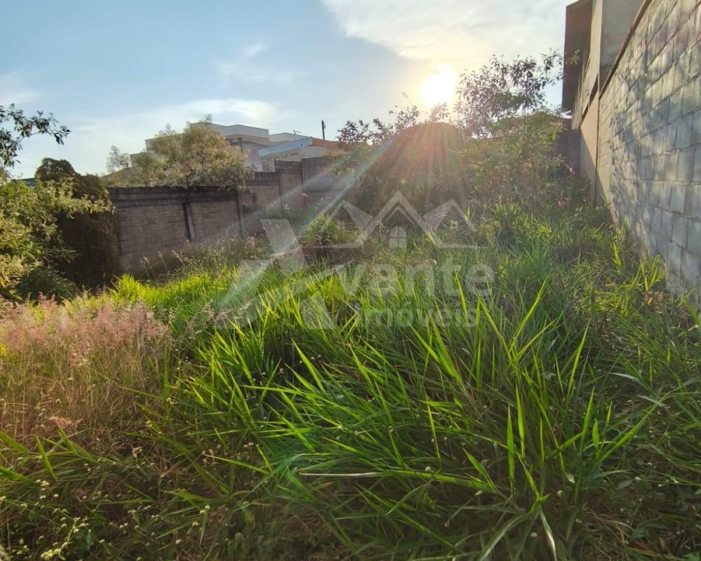 Avante Imóveis ajudando você a realizar o sonho da casa própria