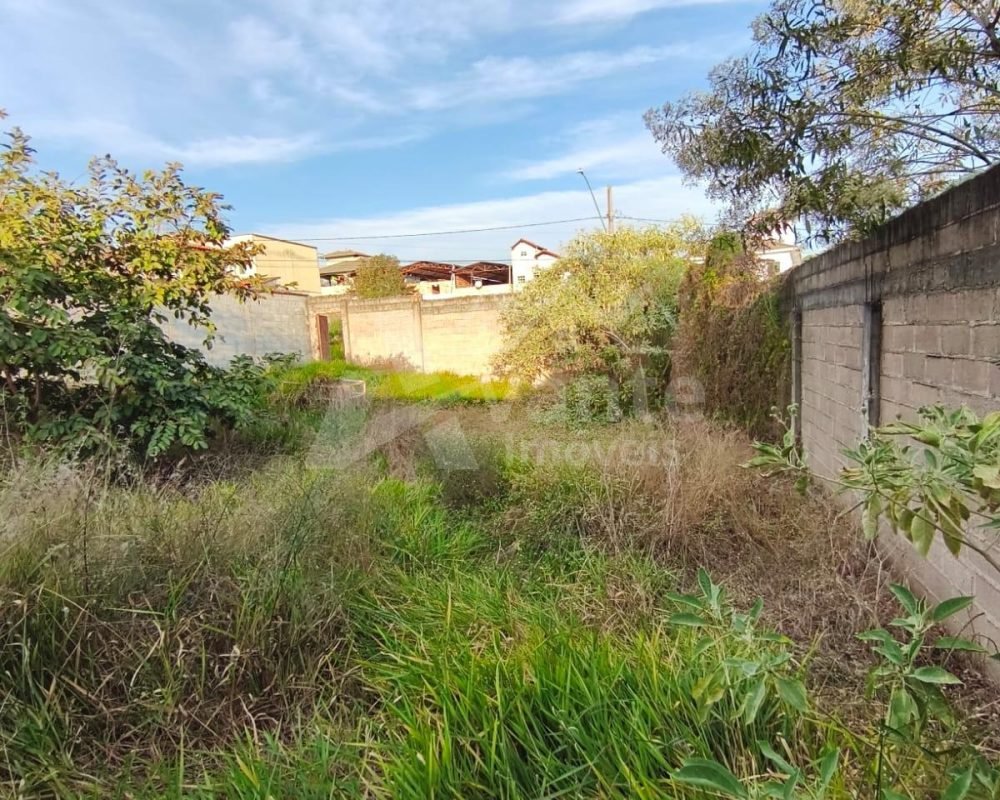 Avante Imóveis ajudando você a realizar o sonho da casa própria