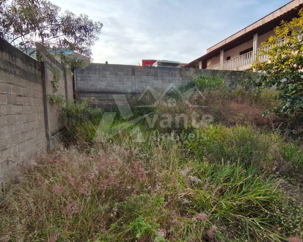 Avante Imóveis ajudando você a realizar o sonho da casa própria