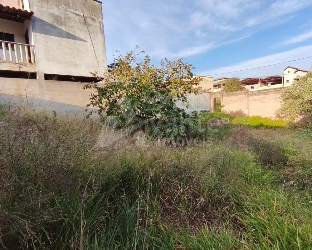 Avante Imóveis ajudando você a realizar o sonho da casa própria