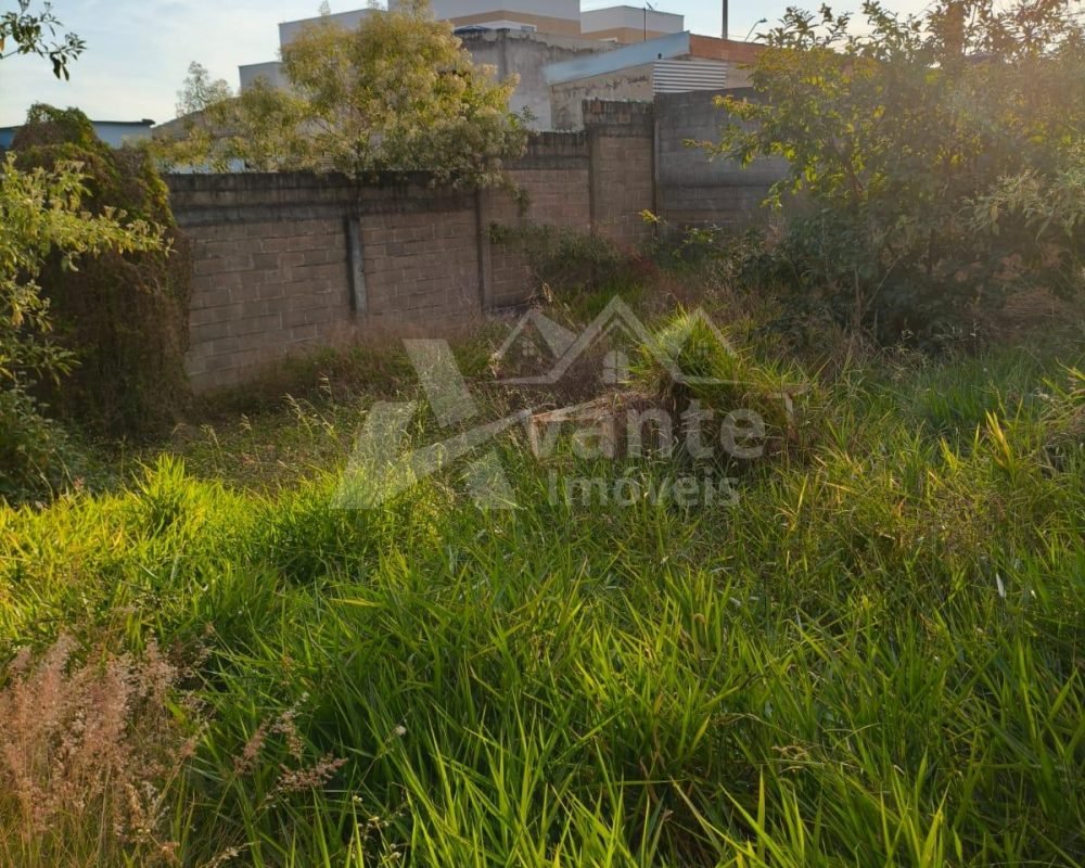 Avante Imóveis ajudando você a realizar o sonho da casa própria