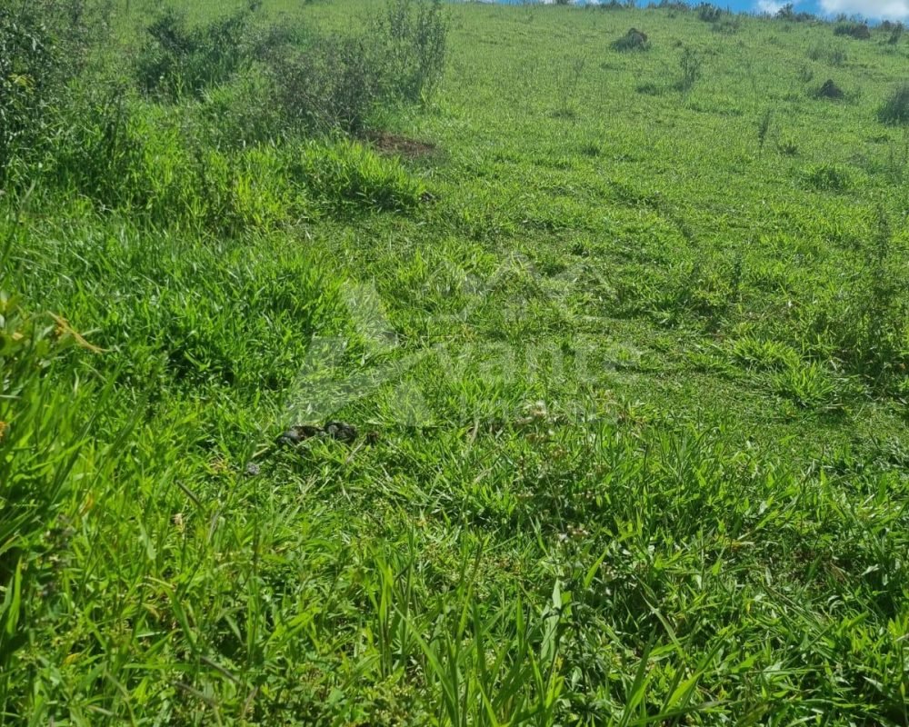 Avante Imóveis você a realizar o sonho da casa própria