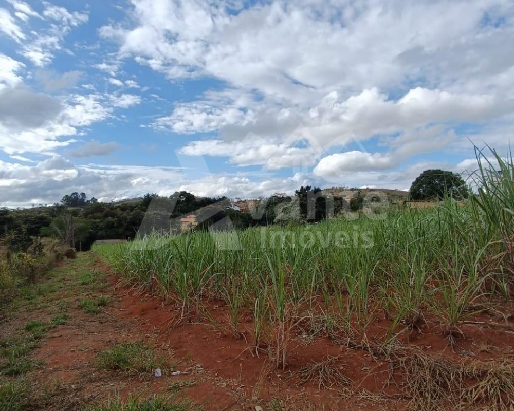 Avante Imóveis ajudando você a realizar o sonho da casa própria