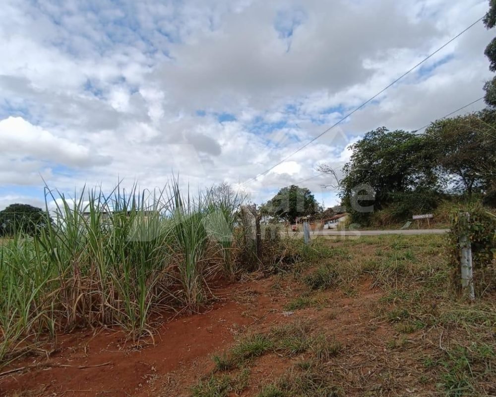 Avante Imóveis ajudando você a realizar o sonho da casa própria