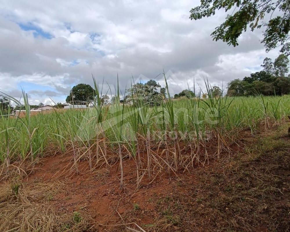 Avante Imóveis ajudando você a realizar o sonho da casa própria